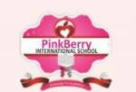 Pinkberry International School - Primary